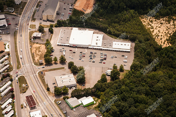 piney-forest-0714-366