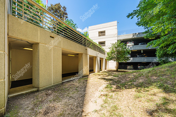 3200-beechleaf-ext14827