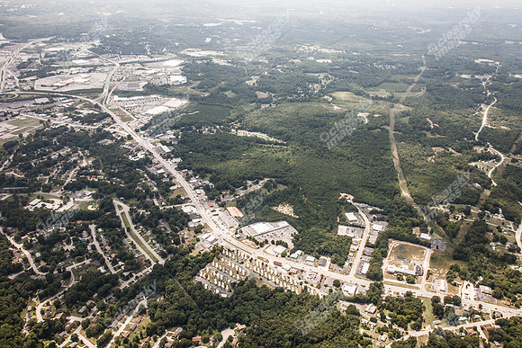 piney-forest-0714-357