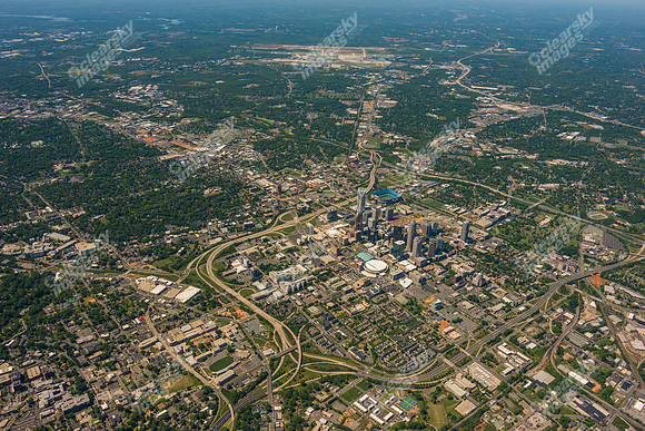 charlotte-cbd-0387