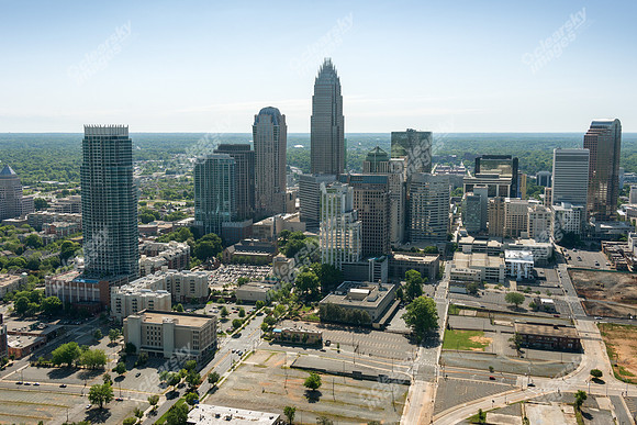 charlotte-cbd-h-0769