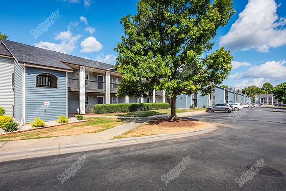 5626-sharon-ext1165