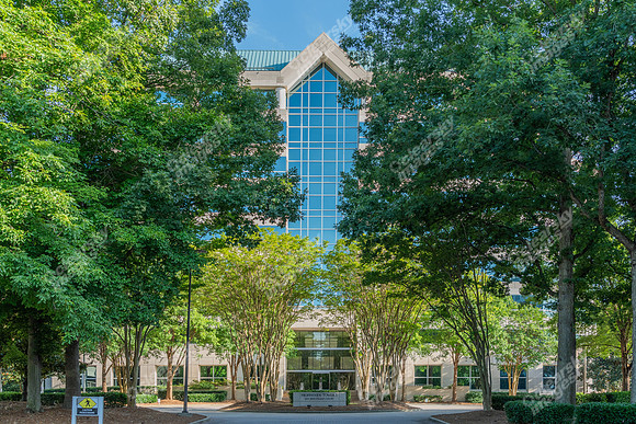 3200-beechleaf-ext15340