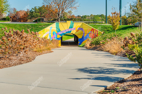 15119-Bowl-ext0594