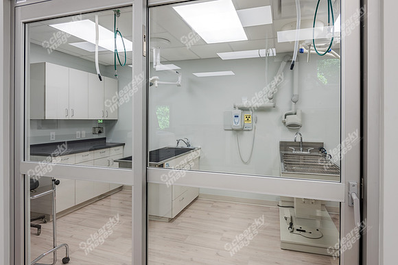 CarolinaPetsAnimalHospital_Dental_Area296