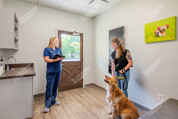 CarolinaPetsAnimalHospital_Canine_Exam_Room121