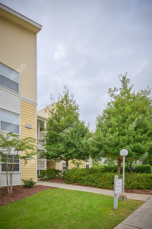 village-green-39