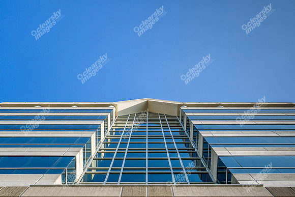 3200-beechleaf-ext15301
