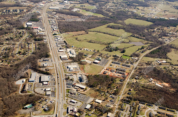sue-ln-shelby-site-03