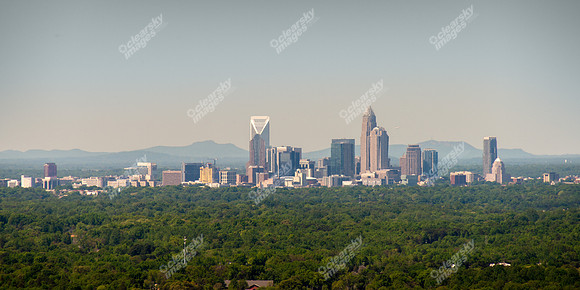 charlotte-cbd-0211