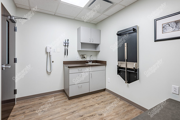 CarolinaPetsAnimalHospital_Feline_Exam_Room146