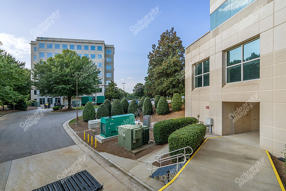 3200-beechleaf-ext15709