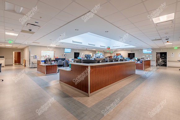 16035-johnston-int4239