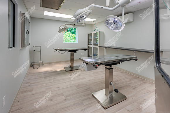 CarolinaPetsAnimalHospital_Surgery186