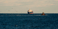 chesapeake-bay-718