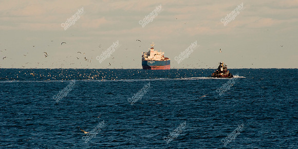 chesapeake-bay-718