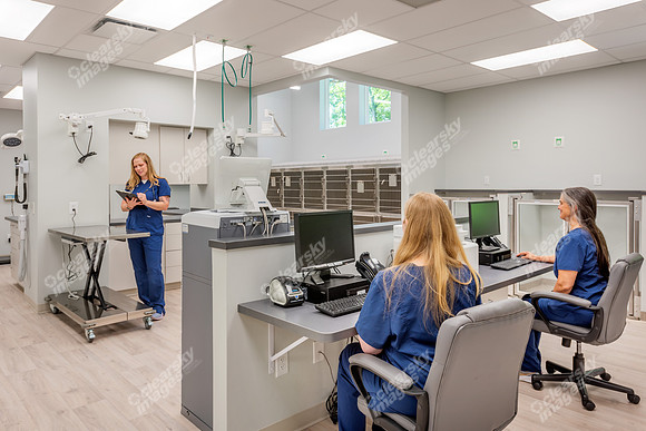 CarolinaPetsAnimalHospital_Treatment_Area271