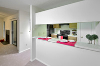 reagatta-lake-lynn-apts-16