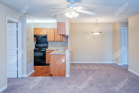 350-powell-int01579