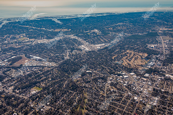 forest-hills-air5387