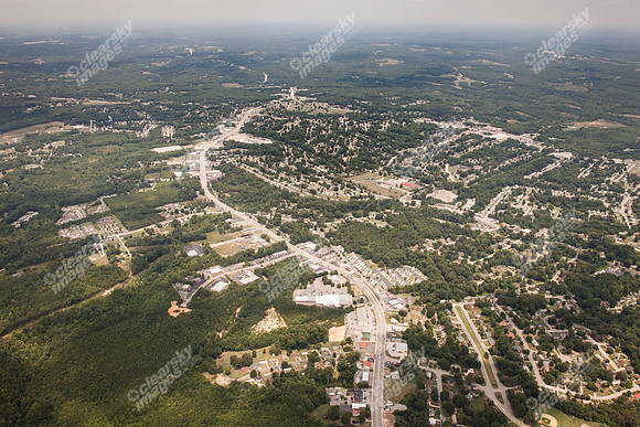 piney-forest-0714-351