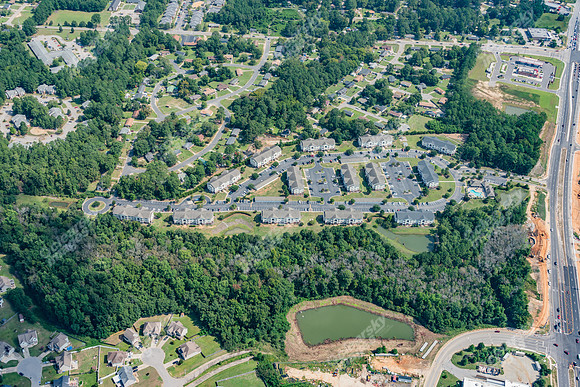3325-oak-forest-air1267