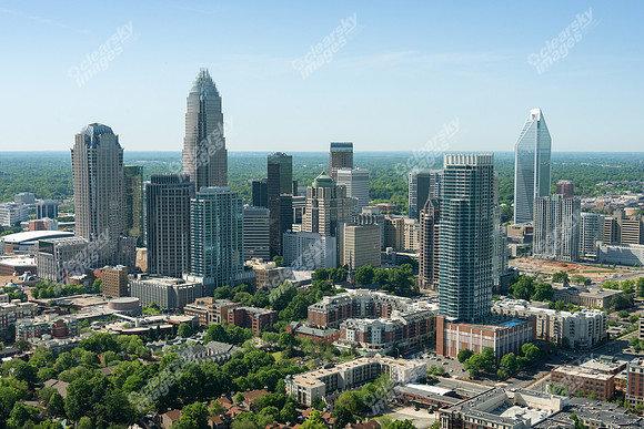 charlotte-cbd-h-0767