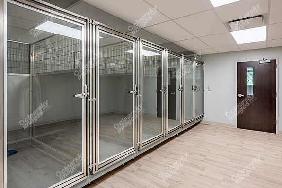 CarolinaPetsAnimalHospital_Canine_Animal_Housing361