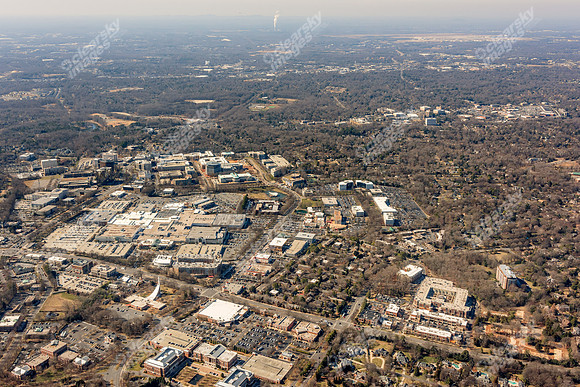bell-morrison-022015-3594