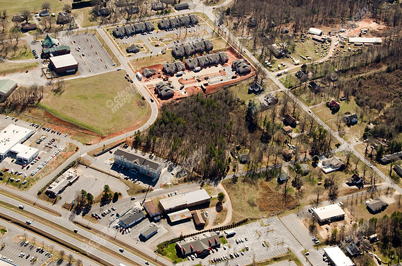 sue-ln-shelby-site-19