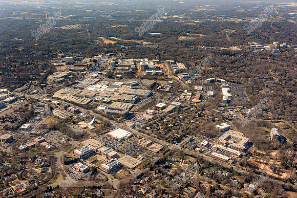 bell-morrison-022015-3597