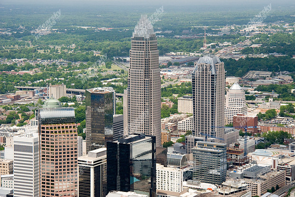 charlotte-CBD-helo-0409-592