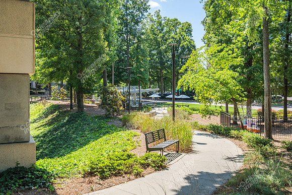 3200-beechleaf-ext15055