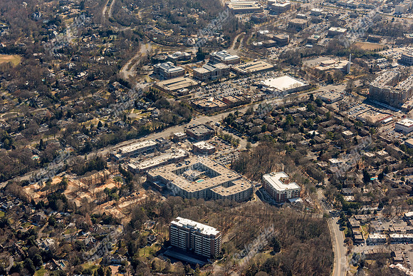 bell-morrison-022015-3617