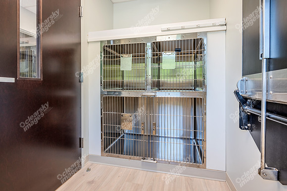 CarolinaPetsAnimalHospital_Isolation_Room386
