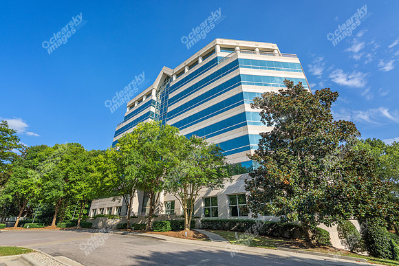 3200-beechleaf-ext15214