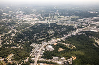 piney-forest-0714-362