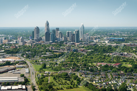 charlotte-cbd-h-0702