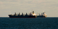 chesapeake-bay-598