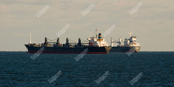 chesapeake-bay-598