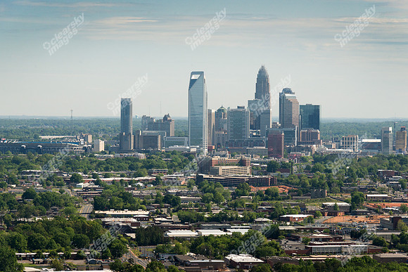 charlotte-cbd-h-0773