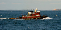 chesapeake-bay-629