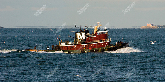 chesapeake-bay-629