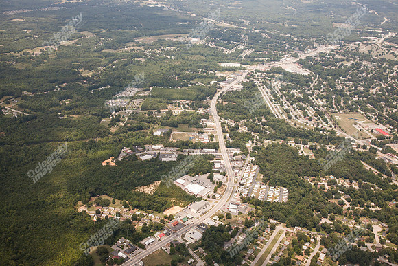 piney-forest-0714-352