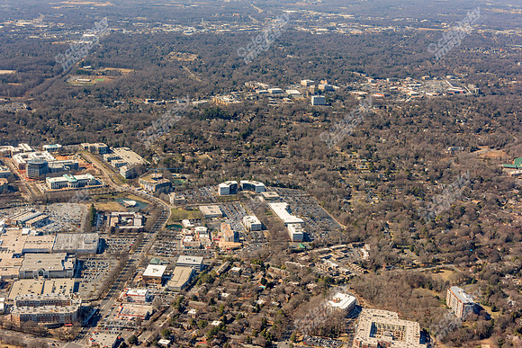 bell-morrison-022015-3592