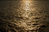 chesapeake-bay-772