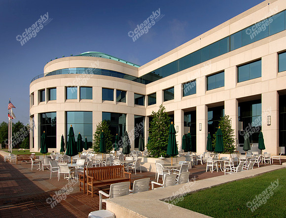 Rotunda 62