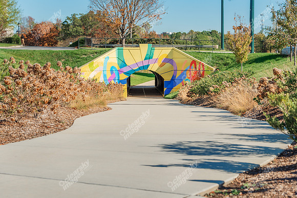 15119-Bowl-ext0594