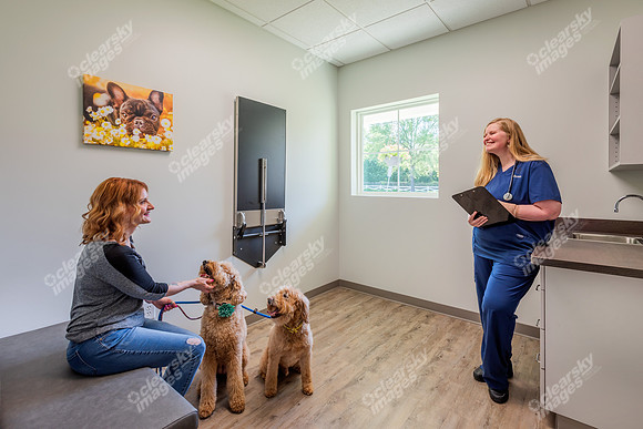 CarolinaPetsAnimalHospital_Canine_Exam_Room136
