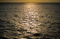 chesapeake-bay-810